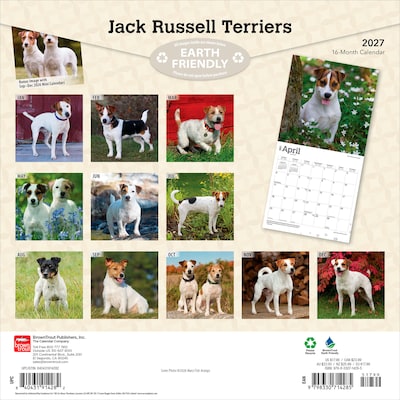 2027 BrownTrout Jack Russell Terriers 12 x 12 Monthly Wall Calendar (9798330714285)