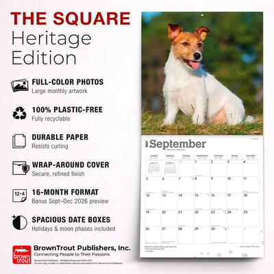 2027 BrownTrout Jack Russell Terriers 12" x 12" Monthly Wall Calendar (9798330714285)