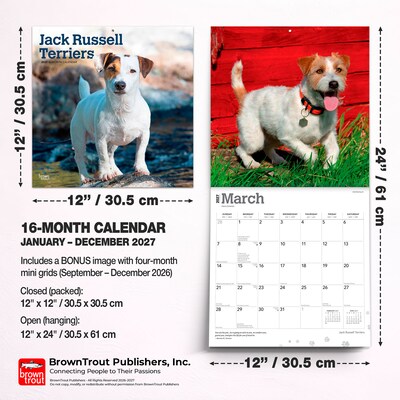 2027 BrownTrout Jack Russell Terriers 12" x 12" Monthly Wall Calendar (9798330714285)