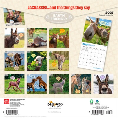 2027 BrownTrout Jackasses 12 x 12 Monthly Wall Calendar (9798330711437)