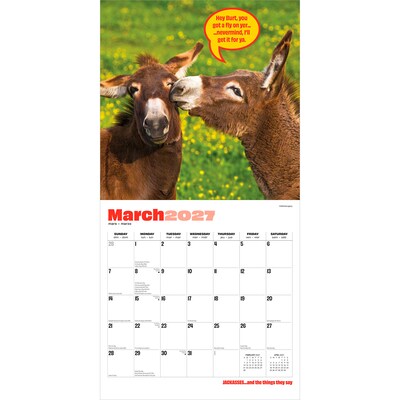 2027 BrownTrout Jackasses 12" x 12" Monthly Wall Calendar (9798330711437)