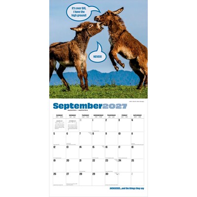 2027 BrownTrout Jackasses 12" x 12" Monthly Wall Calendar (9798330711437)
