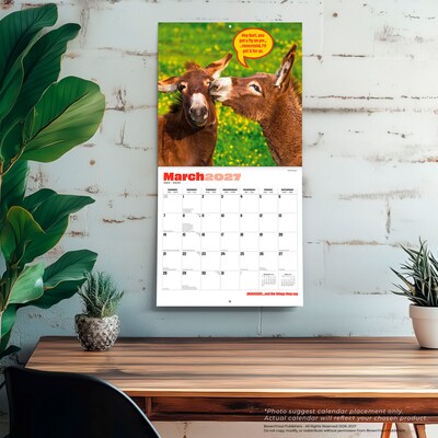 2027 BrownTrout Jackasses 12" x 12" Monthly Wall Calendar (9798330711437)