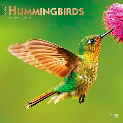 2027 BrownTrout Hummingbirds 12 x 12 Monthly Wall Calendar (9798330712069)
