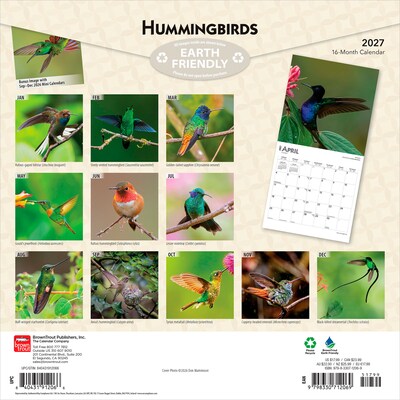 2027 BrownTrout Hummingbirds 12 x 12 Monthly Wall Calendar (9798330712069)