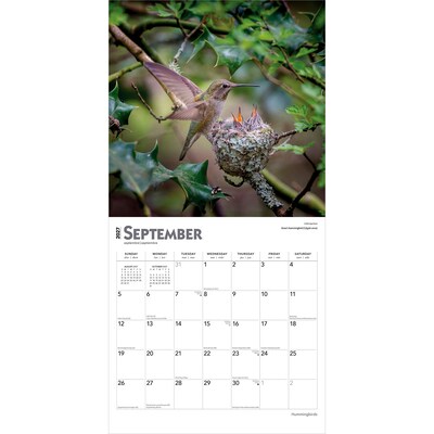 2027 BrownTrout Hummingbirds 12" x 12" Monthly Wall Calendar (9798330712069)