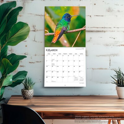 2027 BrownTrout Hummingbirds 12" x 12" Monthly Wall Calendar (9798330712069)