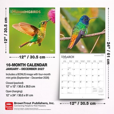 2027 BrownTrout Hummingbirds 12" x 12" Monthly Wall Calendar (9798330712069)