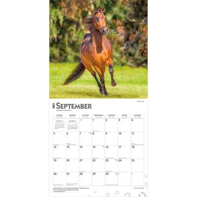 2027 BrownTrout Horse Lovers 12" x 12" Monthly Wall Calendar (9798330711987)