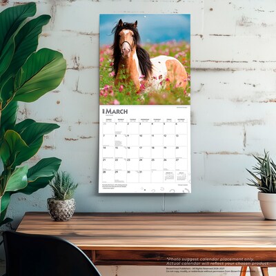 2027 BrownTrout Horse Lovers 12" x 12" Monthly Wall Calendar (9798330711987)