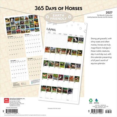 2027 BrownTrout 365 Days of Horses 12 x 12 Monthly Wall Calendar (9798330712007)