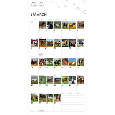 2027 BrownTrout 365 Days of Horses 12" x 12" Monthly Wall Calendar (9798330712007)
