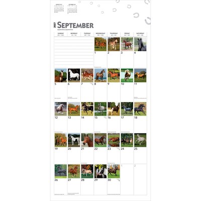 2027 BrownTrout 365 Days of Horses 12" x 12" Monthly Wall Calendar (9798330712007)