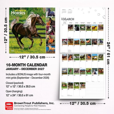 2027 BrownTrout 365 Days of Horses 12" x 12" Monthly Wall Calendar (9798330712007)
