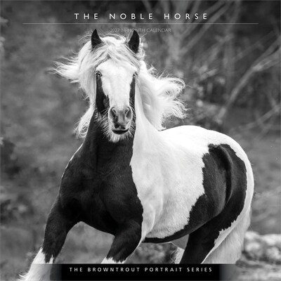 2027 BrownTrout The Noble Horse 12 x 12 Monthly Wall Calendar (9798330711994)