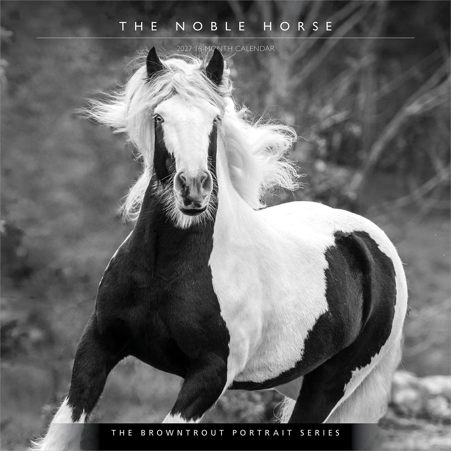2027 BrownTrout The Noble Horse 12 x 12 Monthly Wall Calendar (9798330711994)