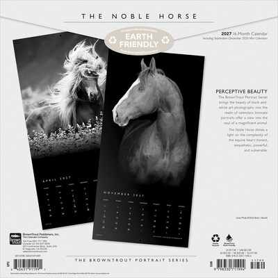2027 BrownTrout The Noble Horse 12 x 12 Monthly Wall Calendar (9798330711994)