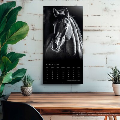 2027 BrownTrout The Noble Horse 12" x 12" Monthly Wall Calendar (9798330711994)