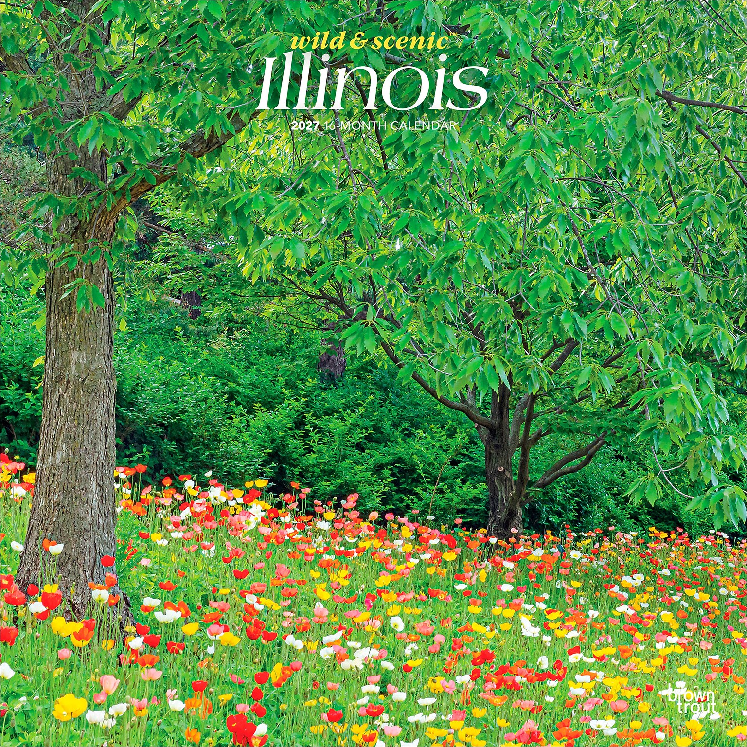 2027 BrownTrout Illinois Wild & Scenic 12 x 12 Monthly Wall Calendar (9798330710577)