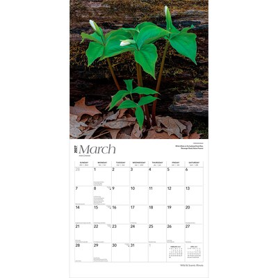 2027 BrownTrout Illinois Wild & Scenic 12" x 12" Monthly Wall Calendar (9798330710577)