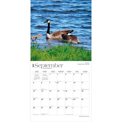 2027 BrownTrout Illinois Wild & Scenic 12" x 12" Monthly Wall Calendar (9798330710577)