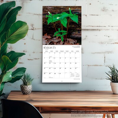 2027 BrownTrout Illinois Wild & Scenic 12" x 12" Monthly Wall Calendar (9798330710577)