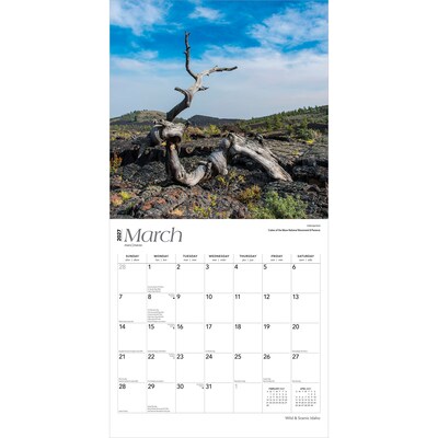 2027 BrownTrout Idaho Wild & Scenic 12" x 12" Monthly Wall Calendar (9798330710560)