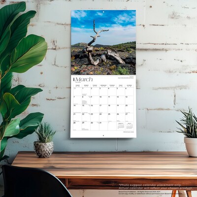 2027 BrownTrout Idaho Wild & Scenic 12" x 12" Monthly Wall Calendar (9798330710560)