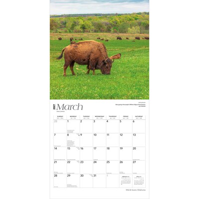2027 BrownTrout Oklahoma Wild & Scenic 12" x 12" Monthly Wall Calendar (9798330710799)