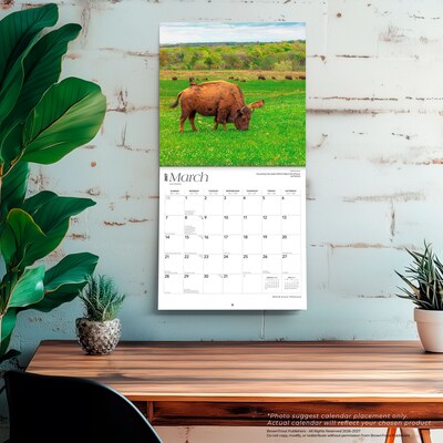 2027 BrownTrout Oklahoma Wild & Scenic 12" x 12" Monthly Wall Calendar (9798330710799)