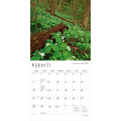 2027 BrownTrout Ohio Nature 12" x 12" Monthly Wall Calendar (9798330710782)