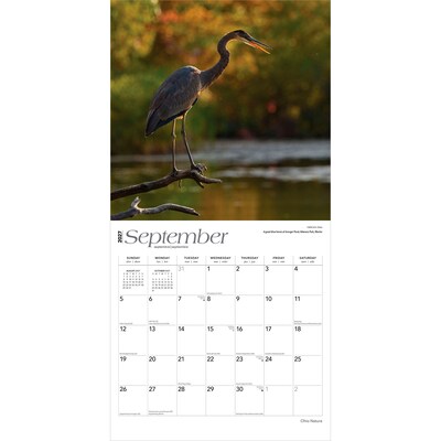 2027 BrownTrout Ohio Nature 12" x 12" Monthly Wall Calendar (9798330710782)