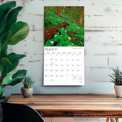 2027 BrownTrout Ohio Nature 12" x 12" Monthly Wall Calendar (9798330710782)