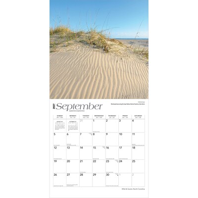 2027 BrownTrout North Carolina Wild & Scenic 12" x 12" Monthly Wall Calendar (9798330710775)