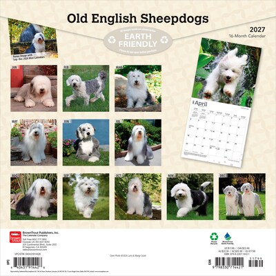 2027 BrownTrout Old English Sheepdogs 12 x 12 Monthly Wall Calendar (9798330714421)