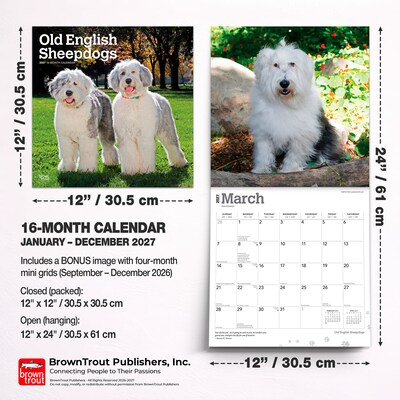 2027 BrownTrout Old English Sheepdogs 12" x 12" Monthly Wall Calendar (9798330714421)