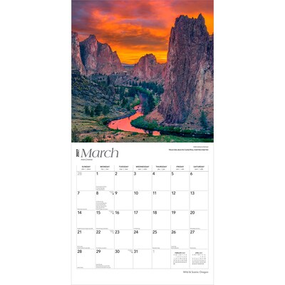 2027 BrownTrout Oregon Wild & Scenic 12" x 12" Monthly Wall Calendar (9798330710829)