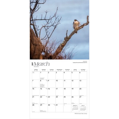 2027 BrownTrout New Jersey Wild & Scenic 12" x 12" Monthly Wall Calendar (9798330710744)