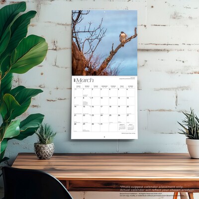 2027 BrownTrout New Jersey Wild & Scenic 12" x 12" Monthly Wall Calendar (9798330710744)