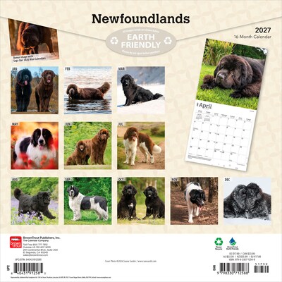 2027 BrownTrout Newfoundlands 12 x 12 Monthly Wall Calendar (9798330712588)