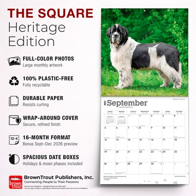 2027 BrownTrout Newfoundlands 12" x 12" Monthly Wall Calendar (9798330712588)