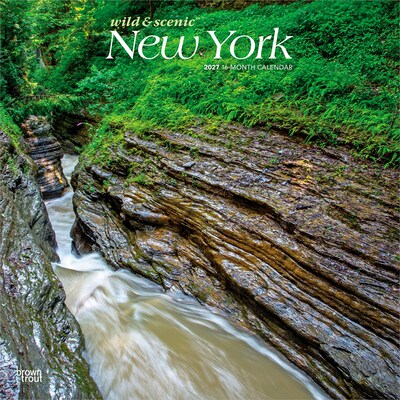 2027 BrownTrout New York Wild & Scenic 12 x 12 Monthly Wall Calendar (9798330710768)