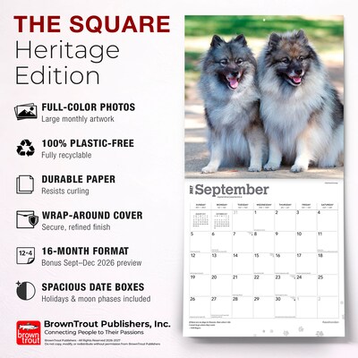 2027 BrownTrout Keeshonden 12" x 12" Monthly Wall Calendar (9798330714308)
