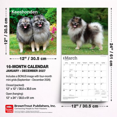 2027 BrownTrout Keeshonden 12" x 12" Monthly Wall Calendar (9798330714308)
