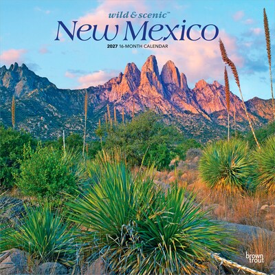 2027 BrownTrout New Mexico Wild & Scenic 12 x 12 Monthly Wall Calendar (9798330710751)