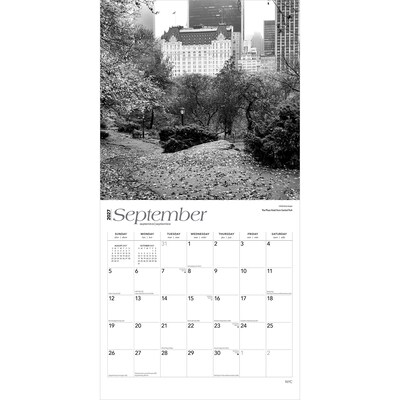 2027 BrownTrout New York City Black & White 12" x 12" Monthly Wall Calendar (9798330711048)