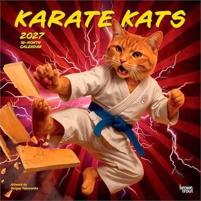 2027 BrownTrout Karate Kats 12 x 12 Monthly Wall Calendar (9798330713295)
