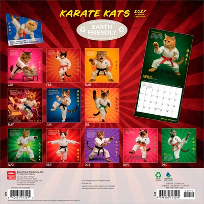 2027 BrownTrout Karate Kats 12 x 12 Monthly Wall Calendar (9798330713295)