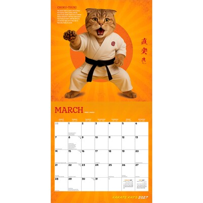 2027 BrownTrout Karate Kats 12" x 12" Monthly Wall Calendar (9798330713295)