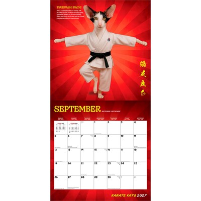 2027 BrownTrout Karate Kats 12" x 12" Monthly Wall Calendar (9798330713295)